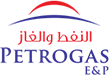 Petrogas team working on an energy project, showcasing technical expertise and commitment to efficient project delivery.