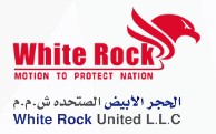 WHITE ROCK UNITED LLC team working on a fire safety system installation.